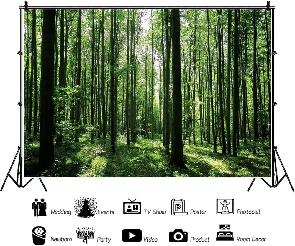 8x6ft Spring Forest Photography Backdrop Green Jungle Forest Sunlight Grassland Wonderland Tree Nature Landscape Background Adventure Camping Picnic Hiking Theme Party Decoration Banner