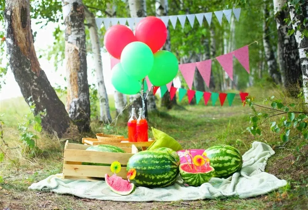 AOFOTO 7x5ft Outdoors Travel Picnic Scene Backdrop Summer Watermelons Juice Forest Camping Holiday Celebration Photography Studio Background Birthday Party Decoration Banner Video Drape Photos Prop