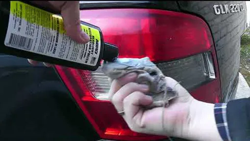 HEADLIGHT RESTORATION POLISH 237ml HR237 ABRO