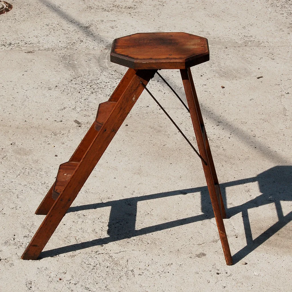 Industrial 19th Century Folding Step Ladder / Stool