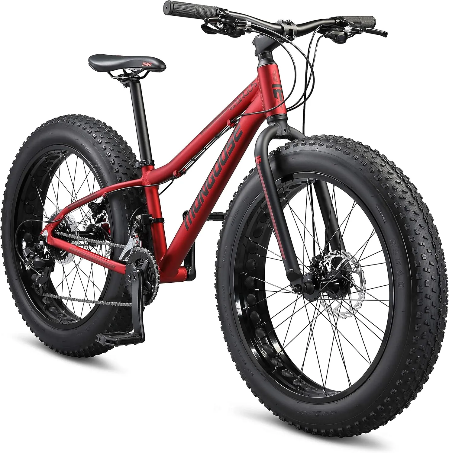 Mongoose Argus ST & Trail Fat Tire Mountain Bike for Adult Youth Men Women, 20 to 26-Inch Wheels, Mechanical Disc Brakes, Steel or Aluminum Frame and 7 or 16-Speed Options