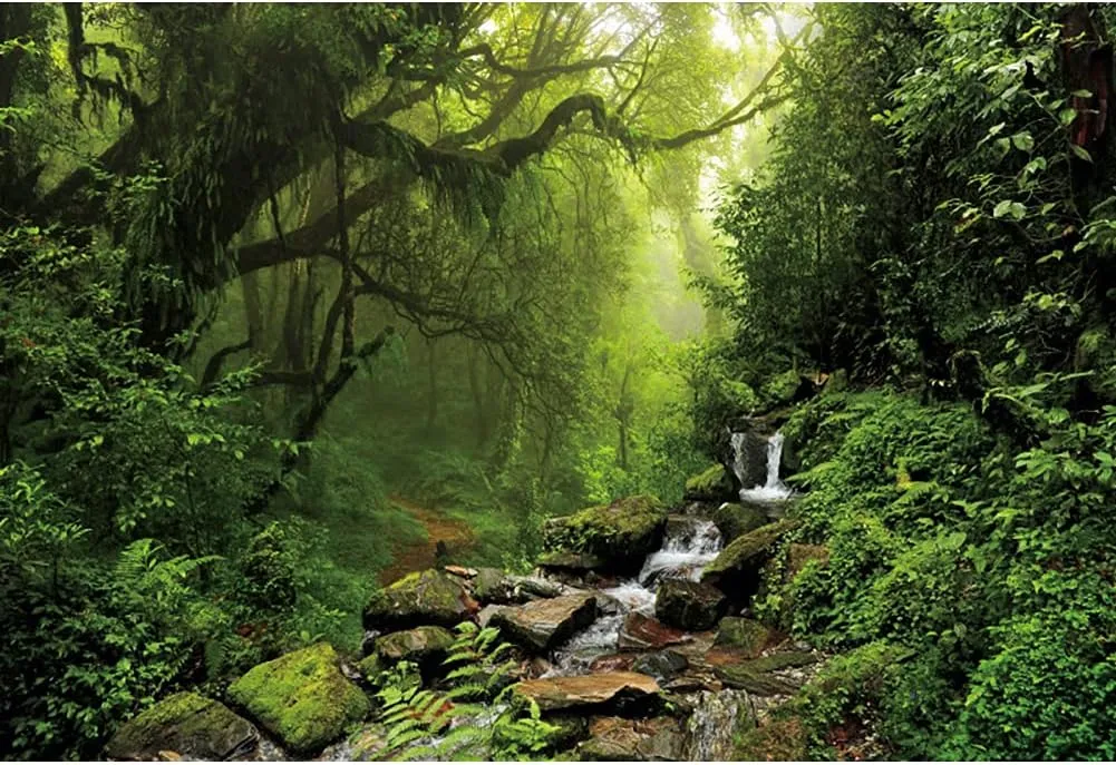 Nature Scenery Jungle Forest Backdrop for Photography 8x6ft Rainforest Spring Green Forest Photo Background Camping Baby Shower Photography Background Children Newborn Birthday Party Decor