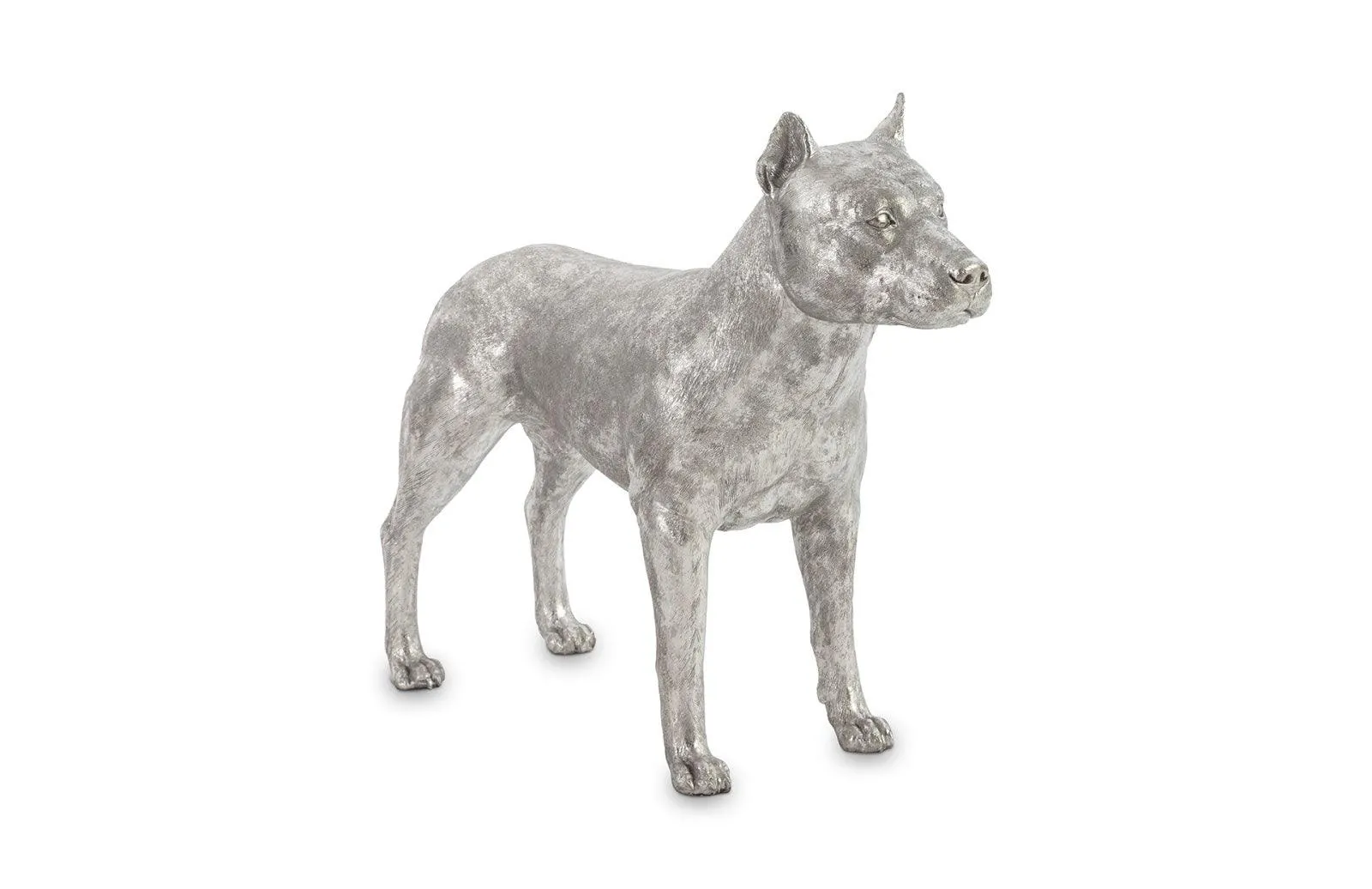 Pit Bull Dog, Silver Leaf