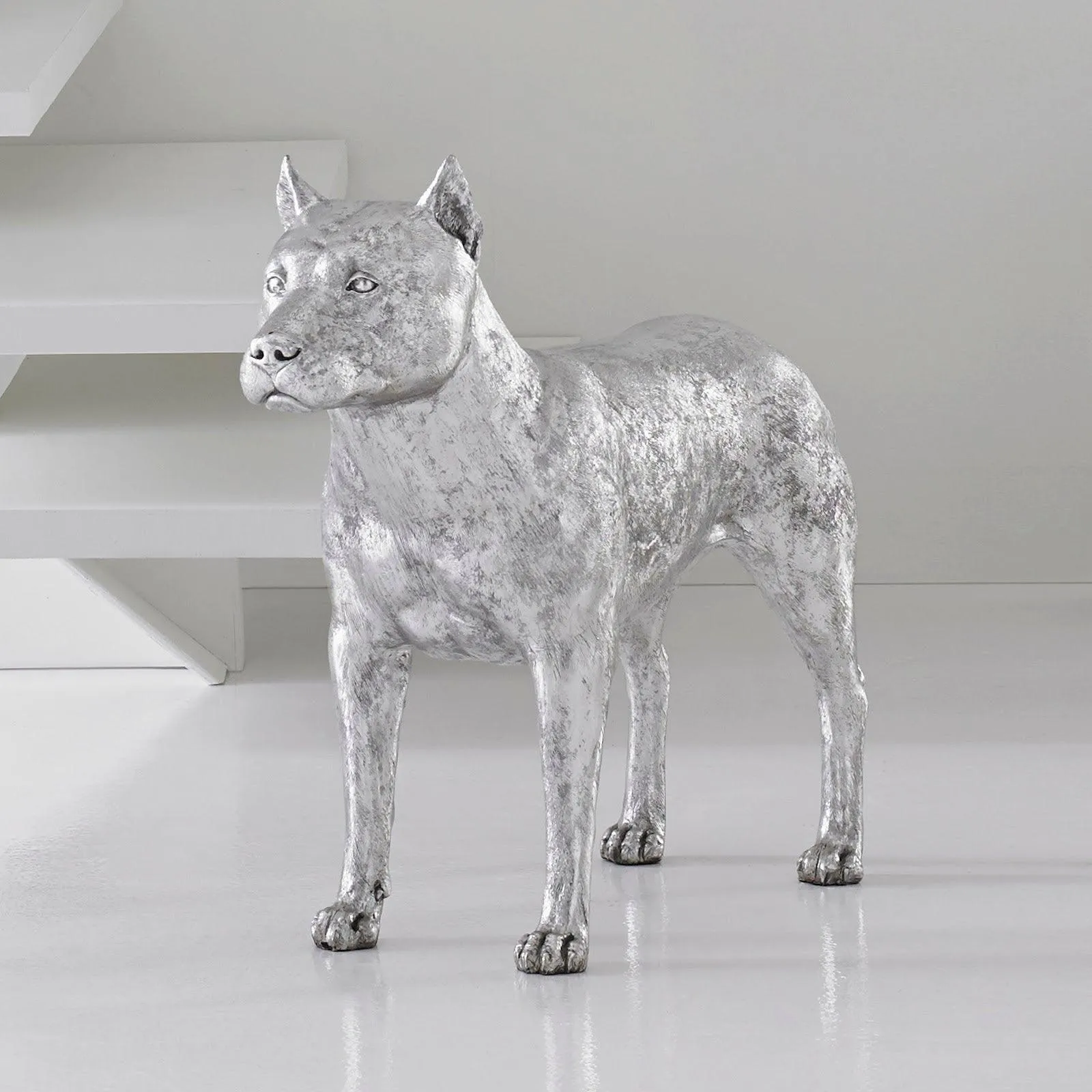 Pit Bull Dog, Silver Leaf