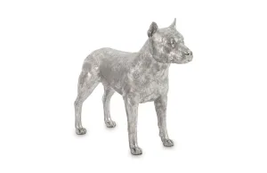 Pit Bull Dog, Silver Leaf