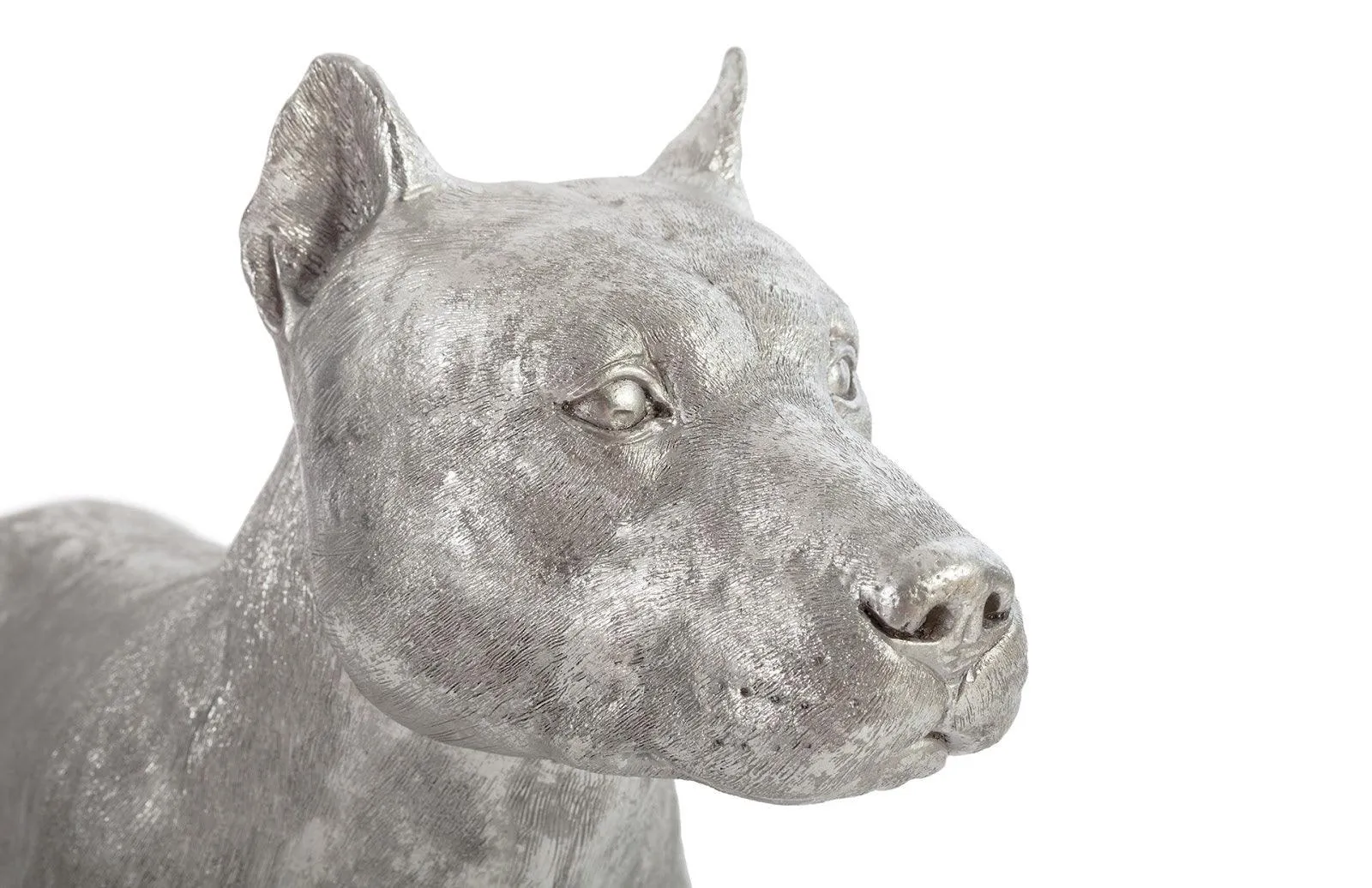 Pit Bull Dog, Silver Leaf