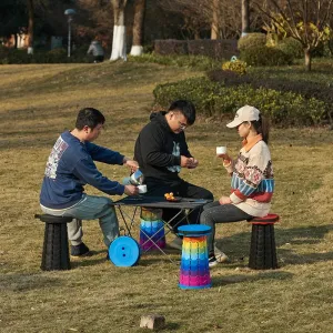 Portable Telescopic Folding Stool