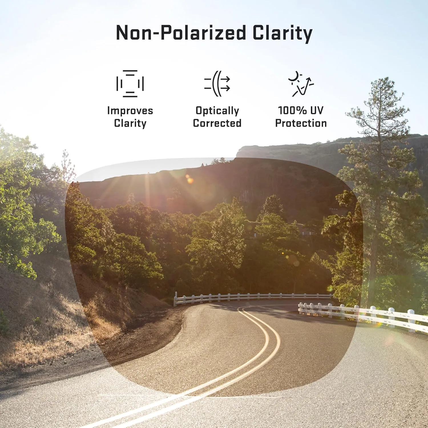 Revant Replacement Lenses for Wiley X Compass