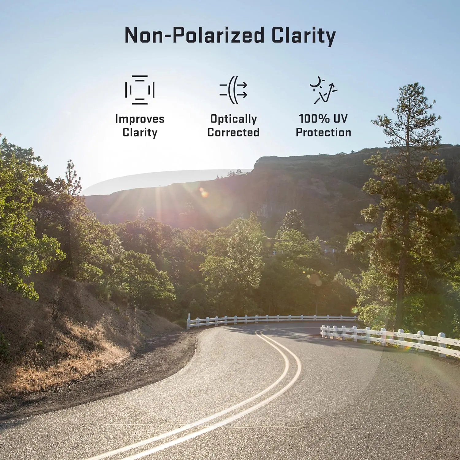 Revant Replacement Lenses for Wiley X Compass