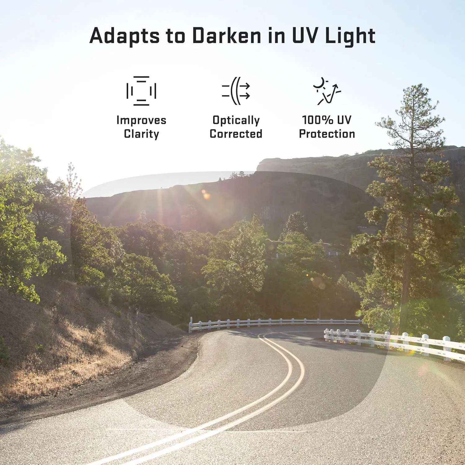 Revant Replacement Lenses for Wiley X Compass