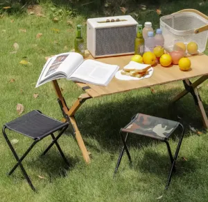 Ultra Lightweight Compact Folding Stool