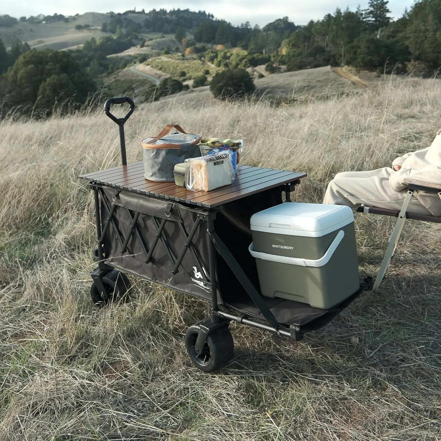 Whitsunday Collapsible Wagon with Tailgate and Big Wheel,Heavy Duty Utility Folding Wagons for Beach Camping Outdoor Black